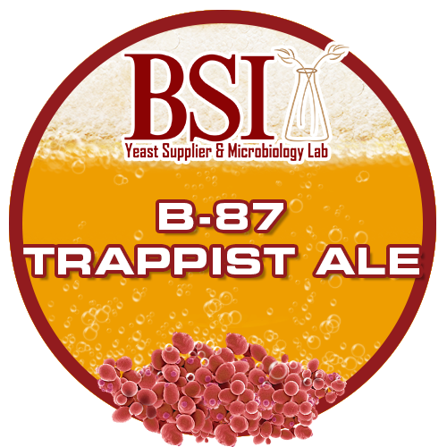 Trappist Ale Yeast