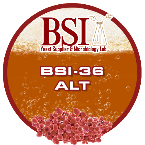 BSI 36 Alt Ale Yeast