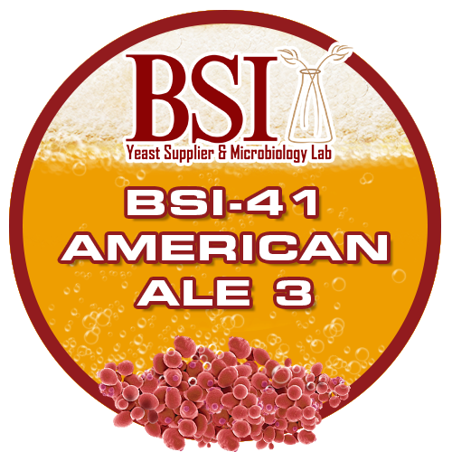 BSI 41 American Ale3 Ale Yeast