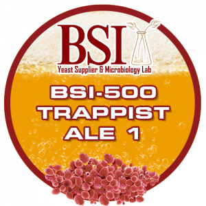 Trappist Ale 1 Yeast