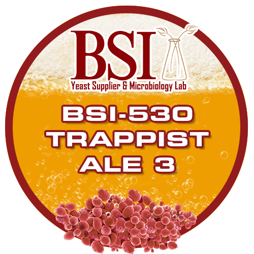 Trappist Ale 3 Yeast
