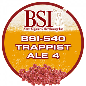 Trappist Ale 4 Yeast