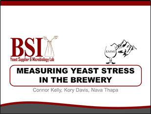 A image that links to a presentation about measuring yeast stress.