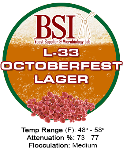 An image of BSI L-33 Octoberfest Lager beer yeast strain with brewing specifications.