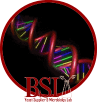 An image of rotating DNA