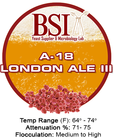 A graphic of BSI London Ale III beer yeast strain.