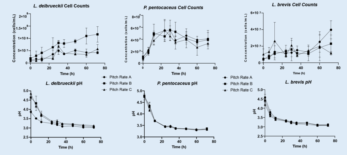 pH and bacterial cell count during kettle sour process
