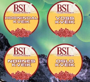 BSI Kveik yeast