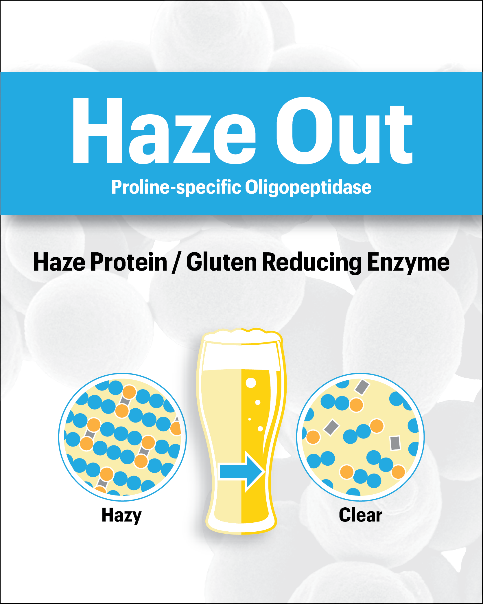 Haze Out™ Enzyme for Gluten Reduction